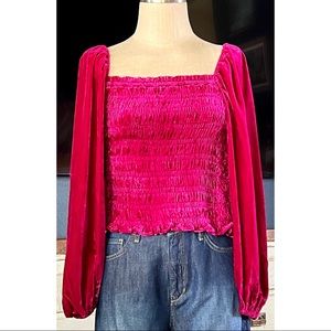 Anthropologie Puff Sleeve Velvet Blouse Top L